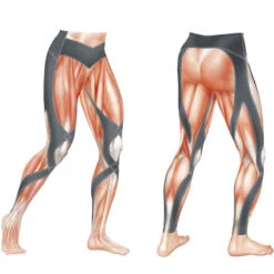 CW-X Stabilyx Tight Men -Craft Verkäufe 139796 5